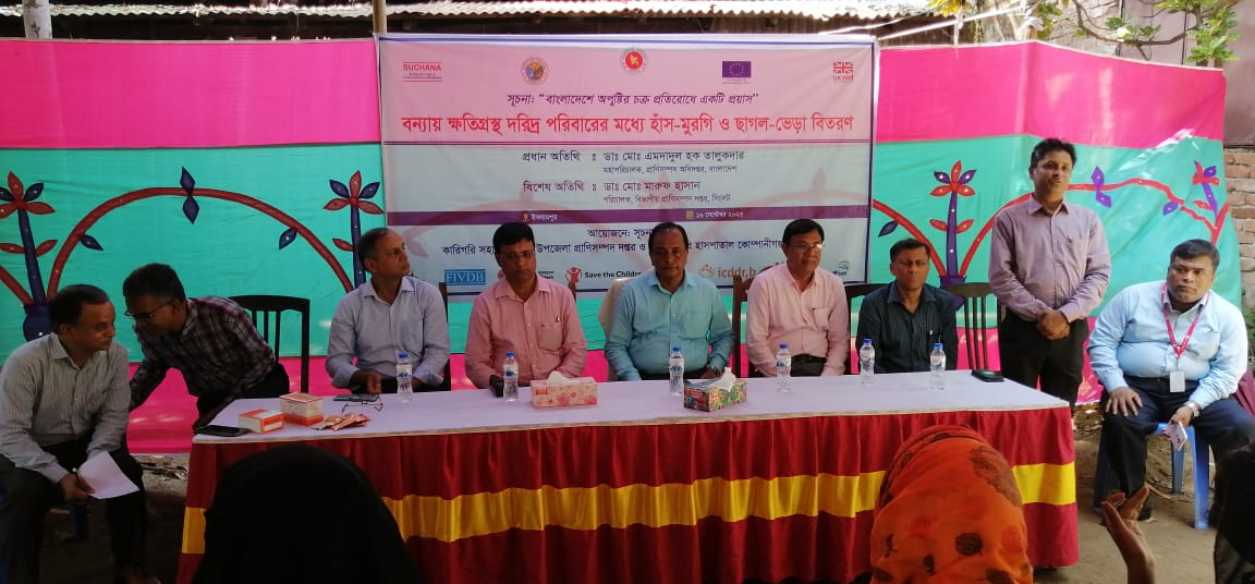 বন্যায় ক্ষতিগ্রস্থ দরিদ্র পরিবারের মধ্যে হাস-মুরগী ও ছাগল-ভেড়া বিতরণ।