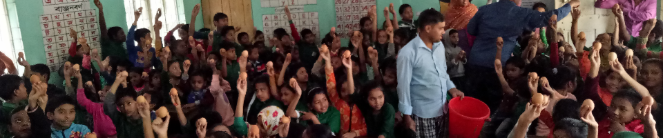 স্কুল ফিডিং