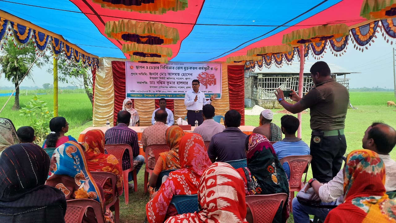 ব্যানার