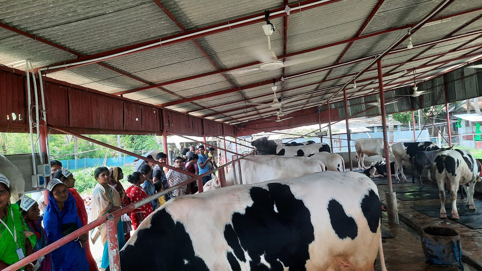 ব্যানার