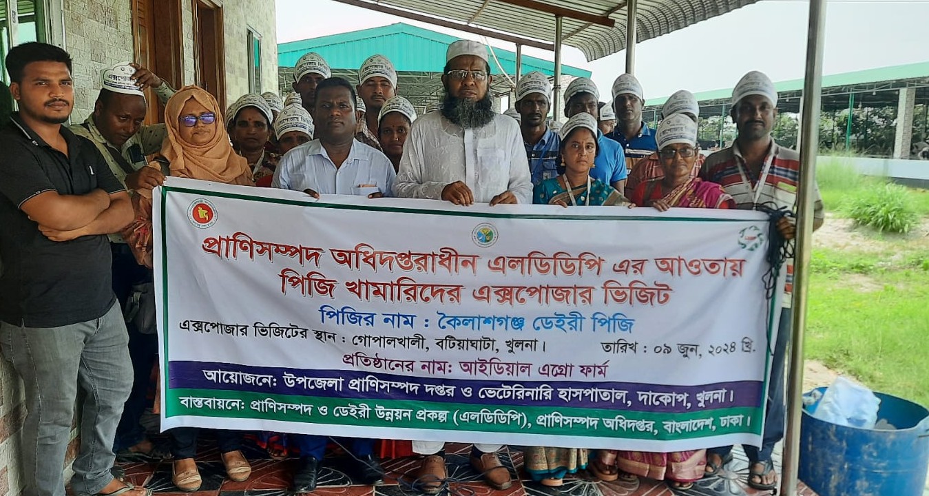 ব্যানার