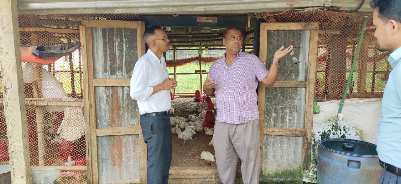 পোল্ট্রি ফার্ম পরিদর্শন