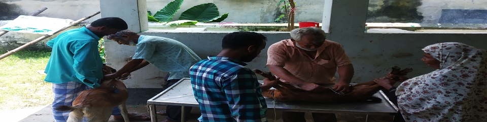 চিকিৎসা প্রদান