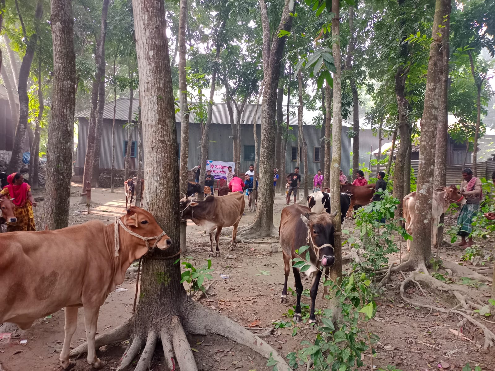 ভ্যাক্সিনেশন ক্যাম্প