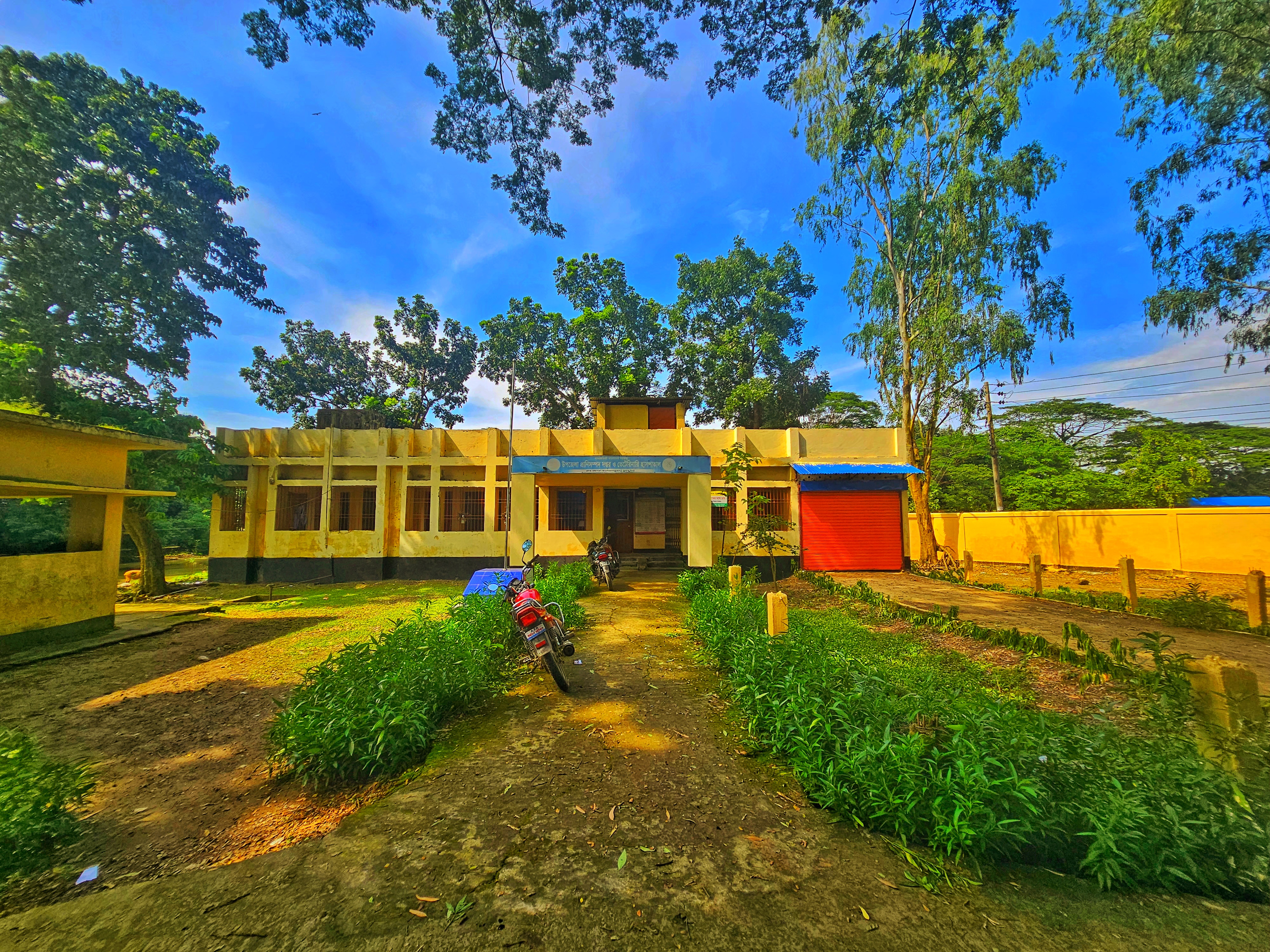 অফিস
