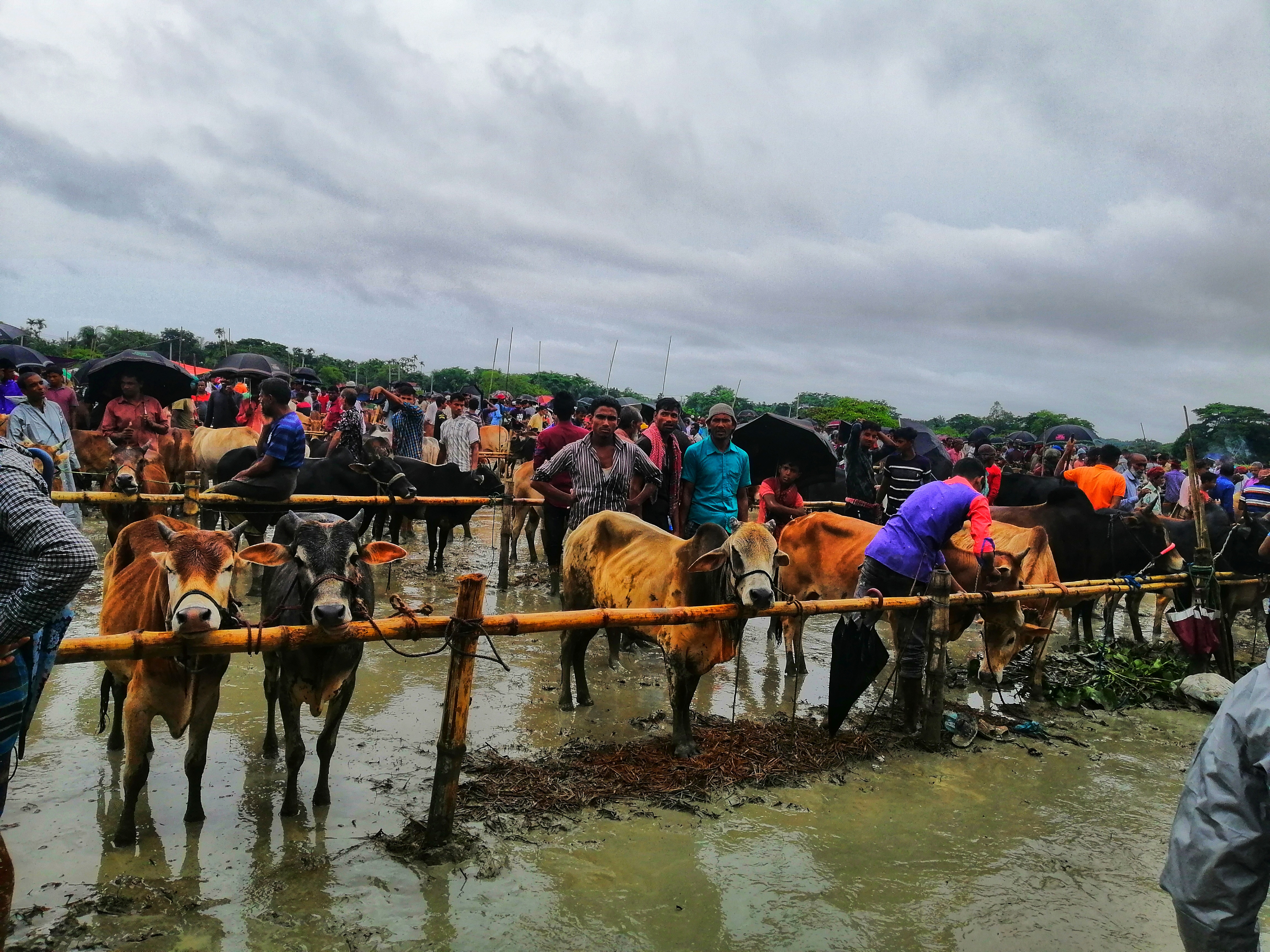 কোরবানির হাট ২০২২