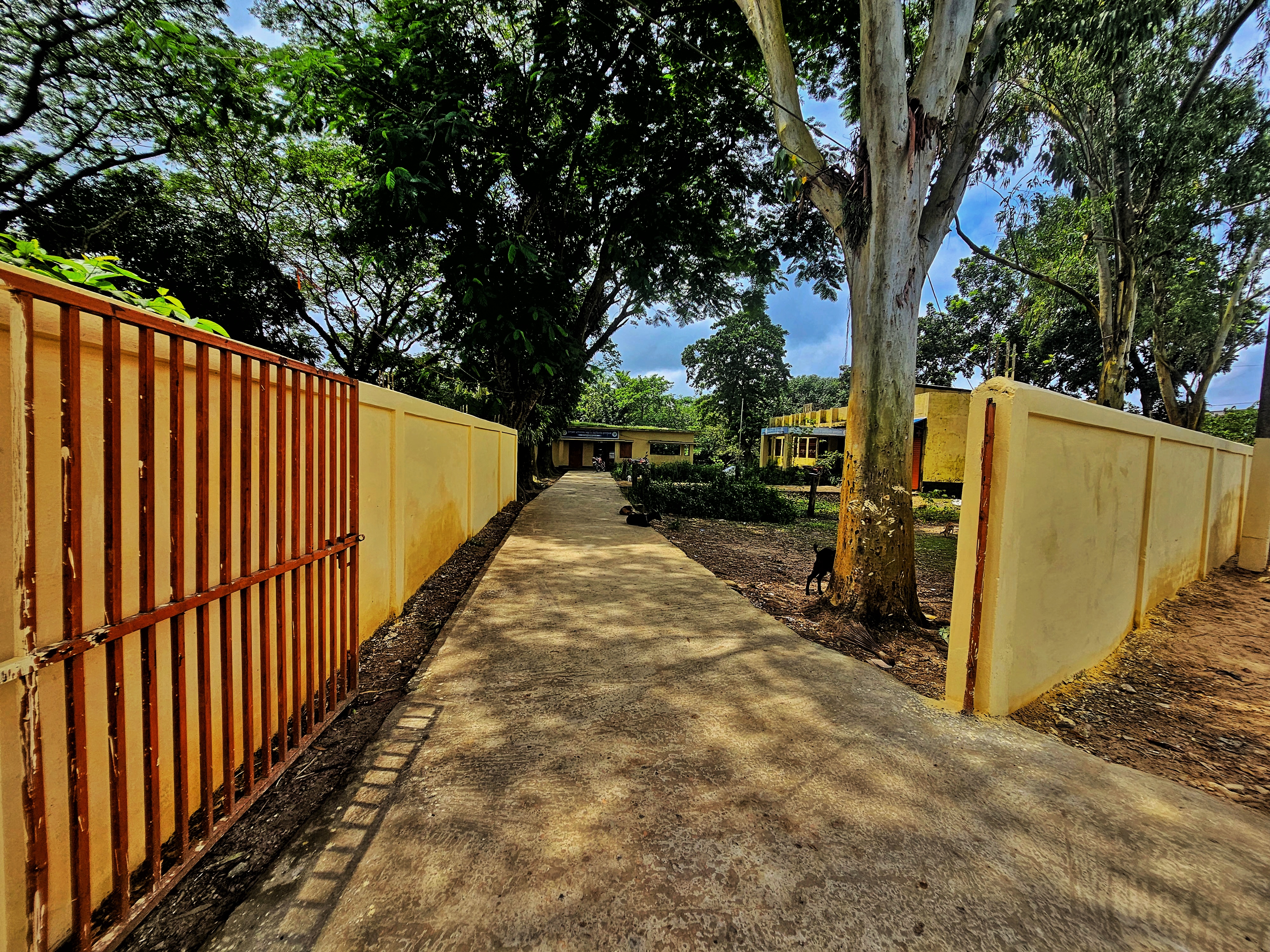 অফিস
