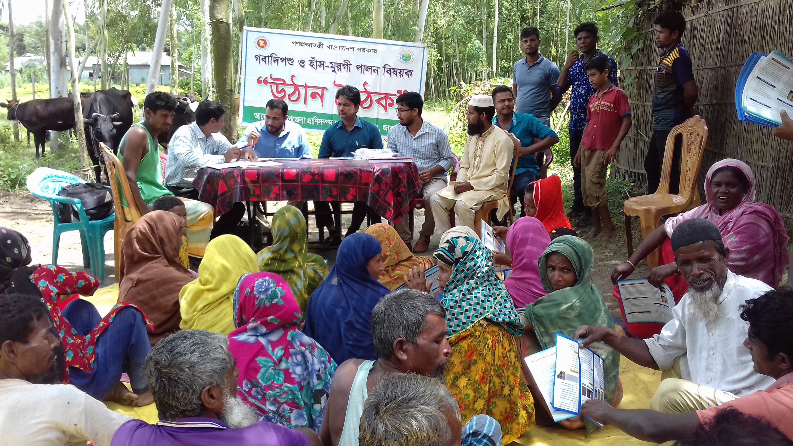 ফটো গ্যালারি ১