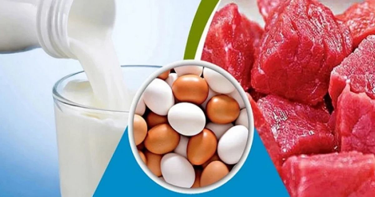 দুধ ডিম মাংস