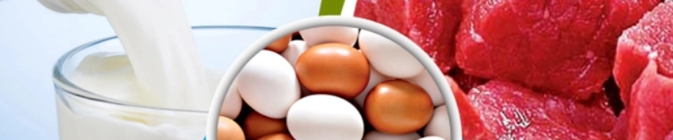 দুধ,ডিম,মাংস