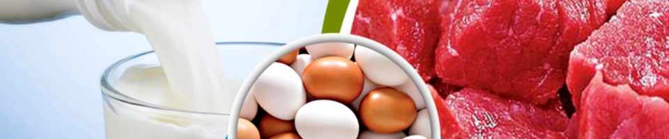 প্রাণিজ পণ্য