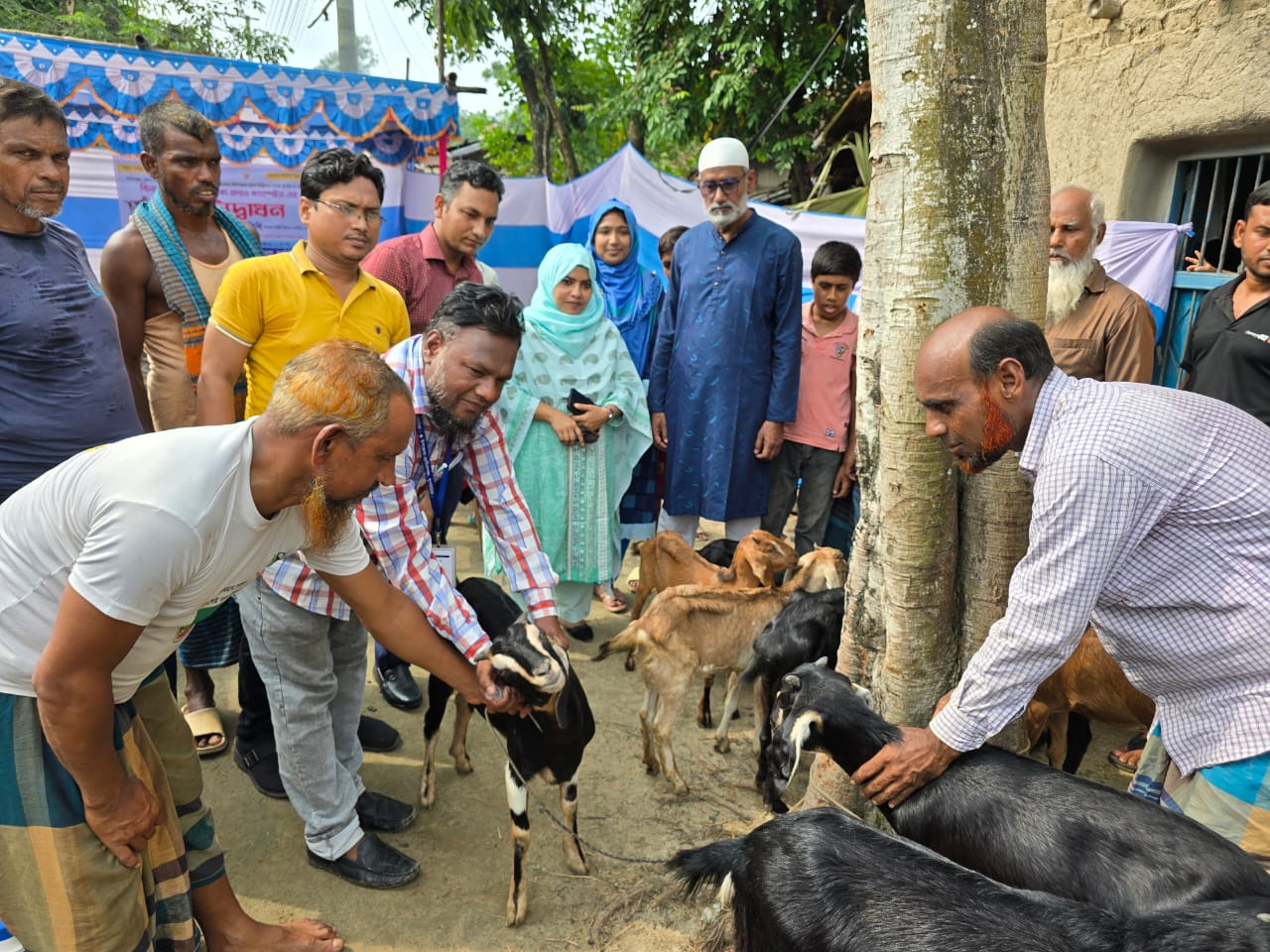প্রাণিসম্পদ অধিদপ্তরাধীন পিপিআর রোগ নির্মূল এবং ক্ষুরারোগ নিয়ন্ত্রণ প্রকল্পের আওতায় দেশব্যাপী পিপিআর টিকা প্রদান কার্যক্রমের একাংশ