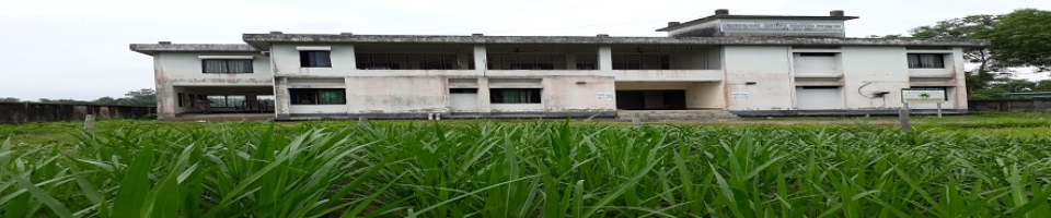 অফিস আঙিনা