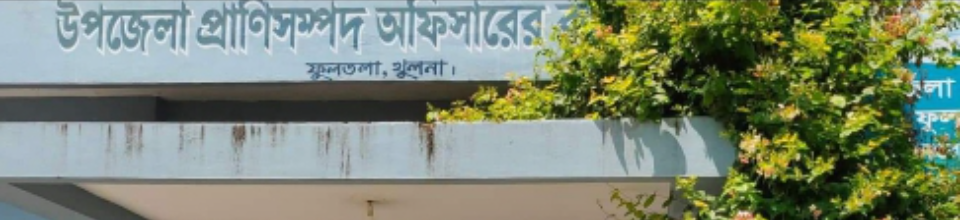 অফিস