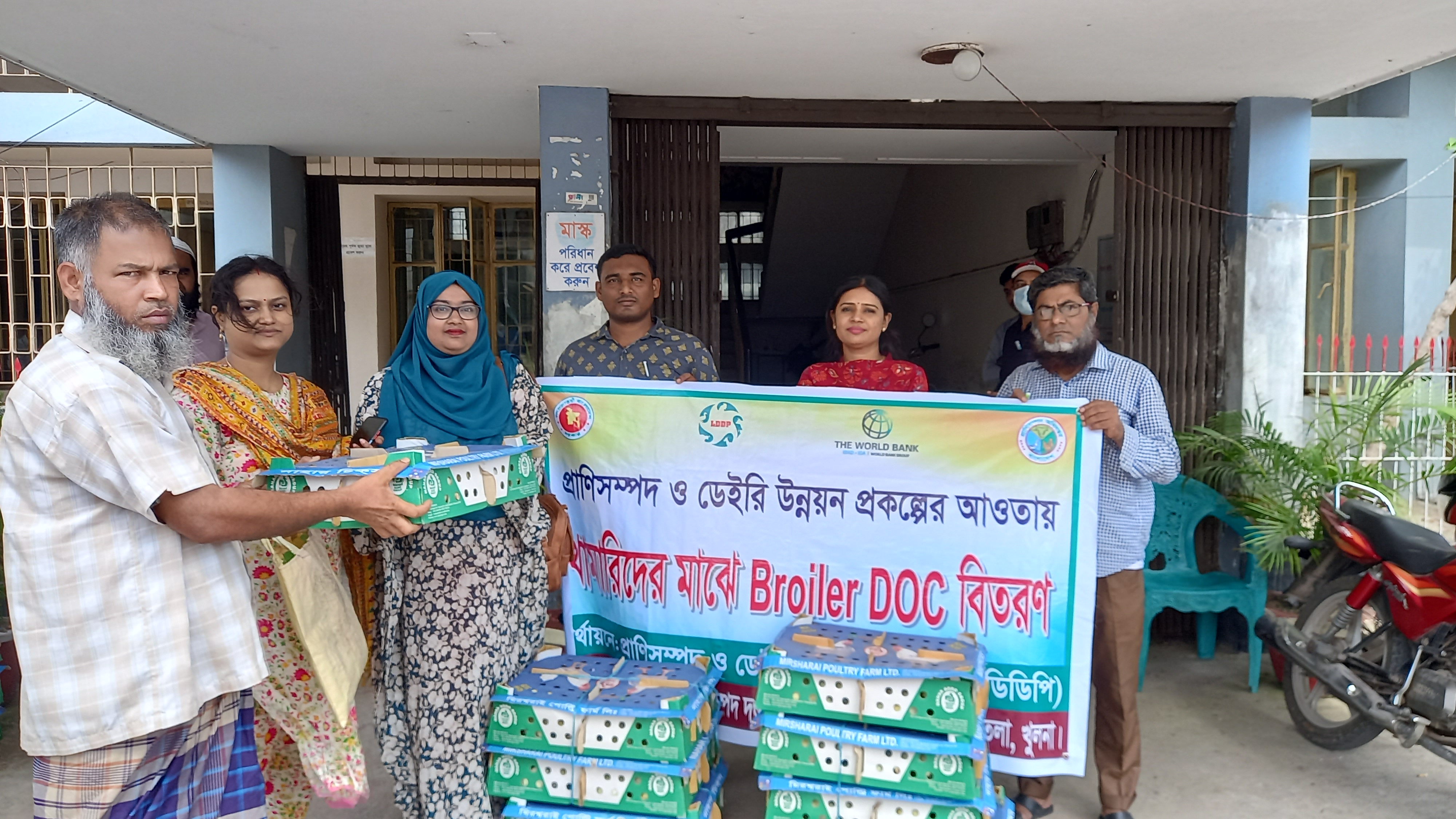 ব্রয়লার বাচ্চা বিতরণ