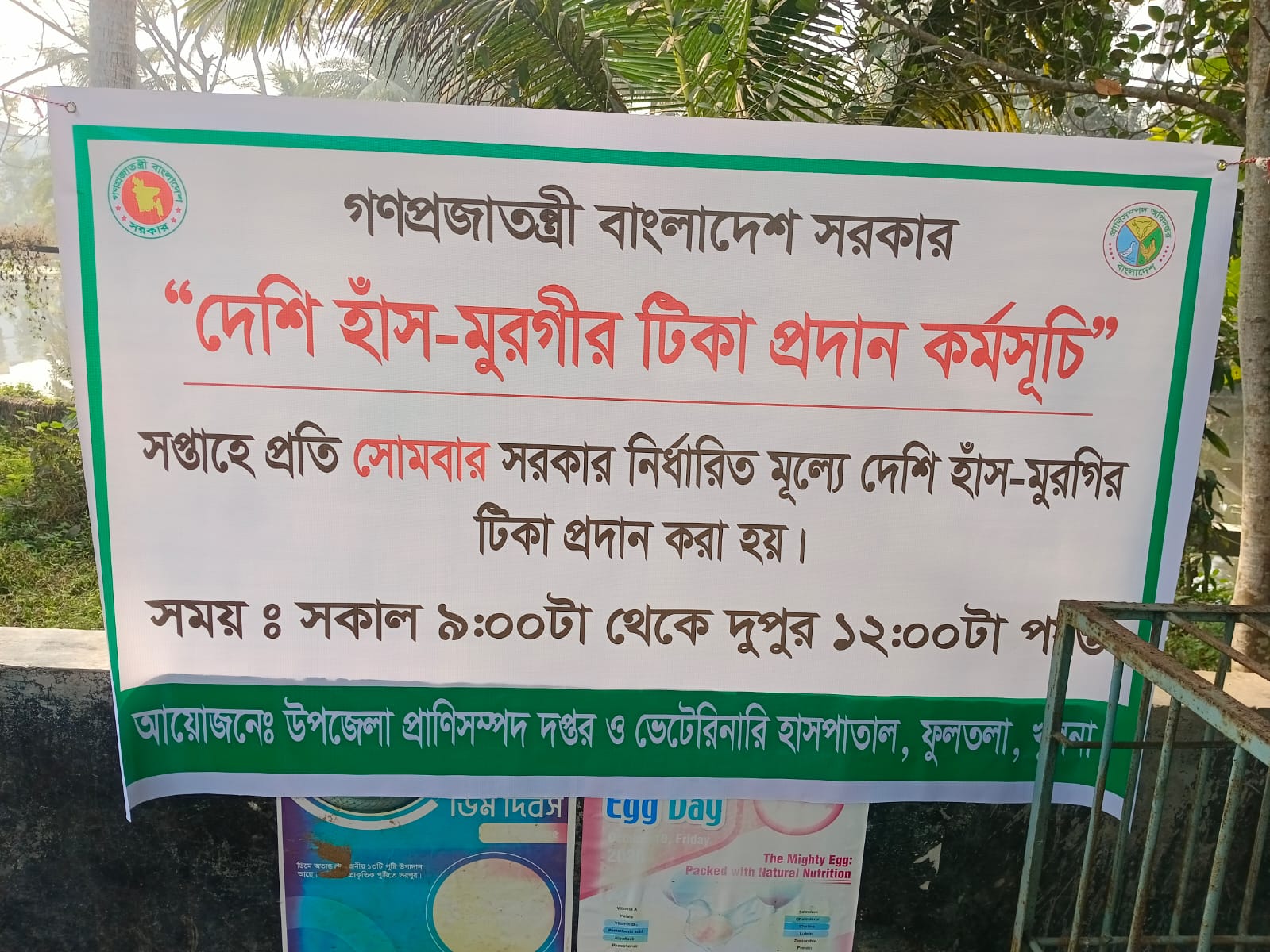 হাঁস-মুরগীর টিকা প্রদান
