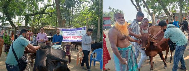 এফএমডি ভ্যাক্সিনেশন ক্যাম্পেইন
