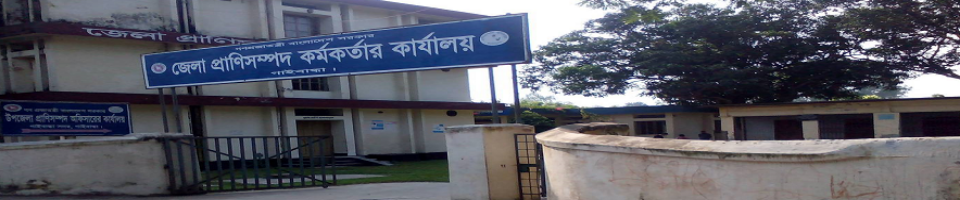 অফিস ভবন