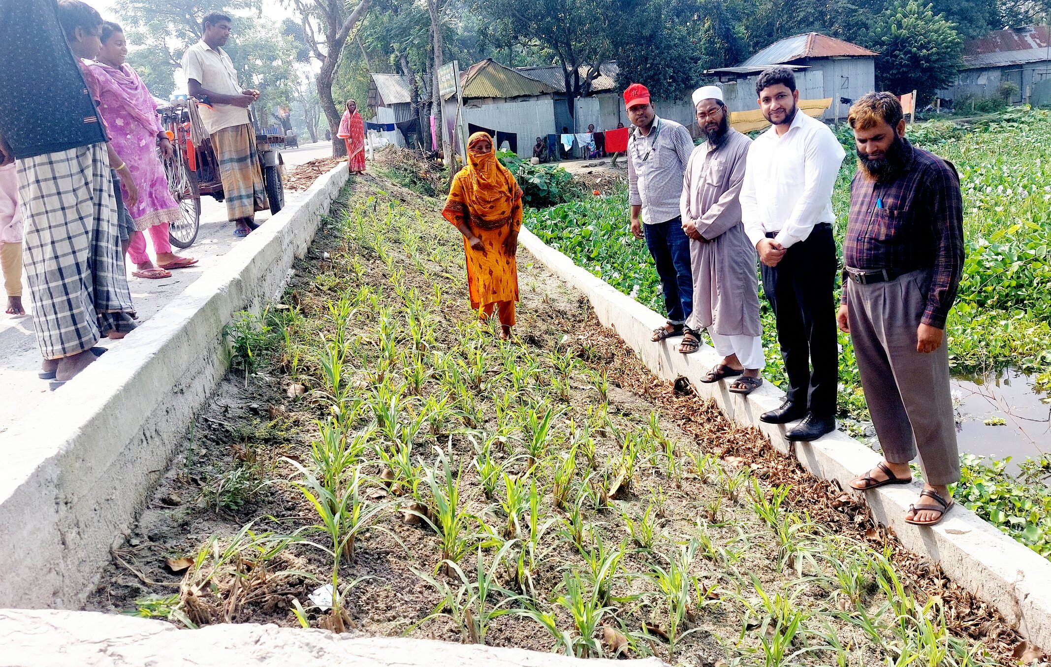 রাস্তার পাশে পতিত যায়গায় ঘাস চাষ কর্মসূচি