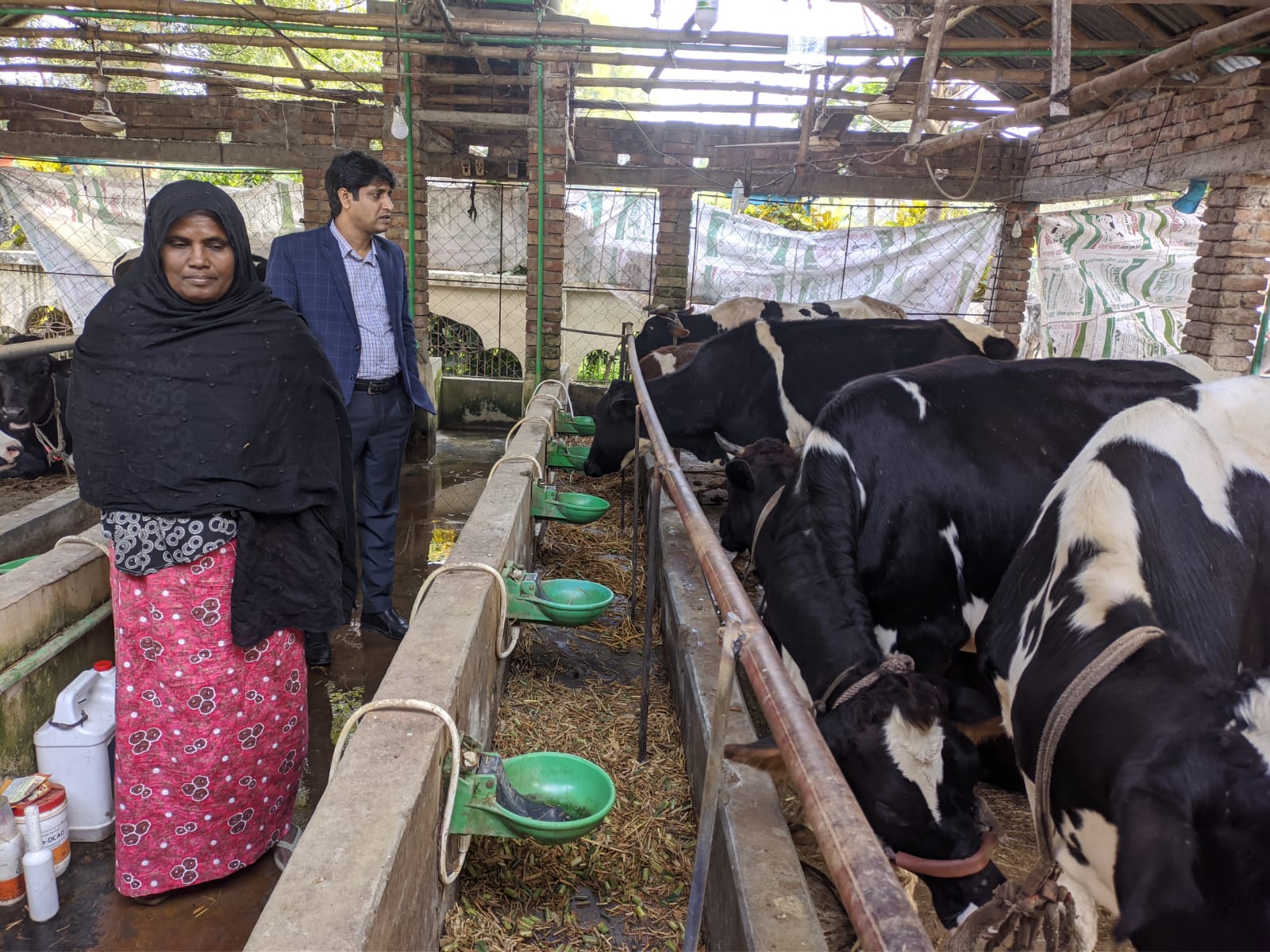 গরুর খামার