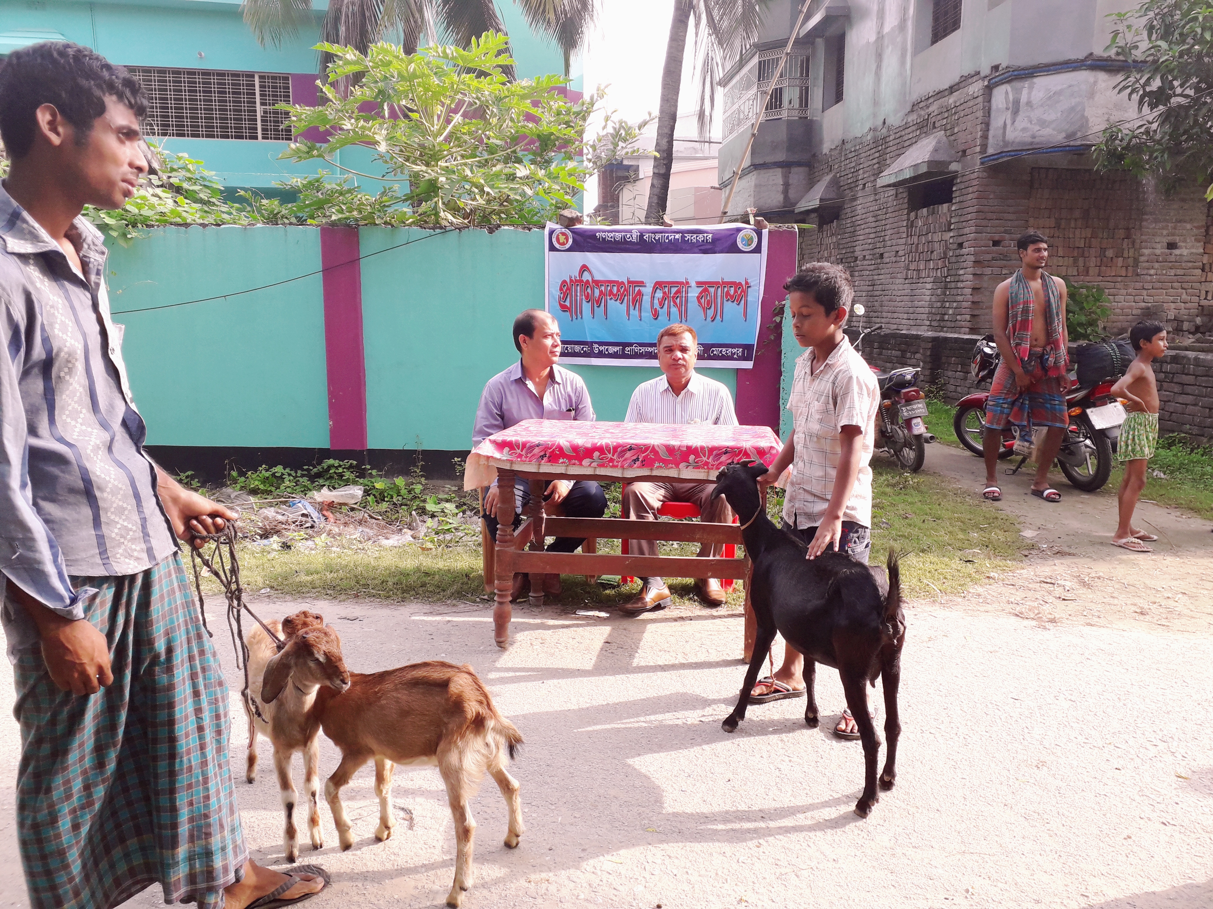 vaccination with dlo sir