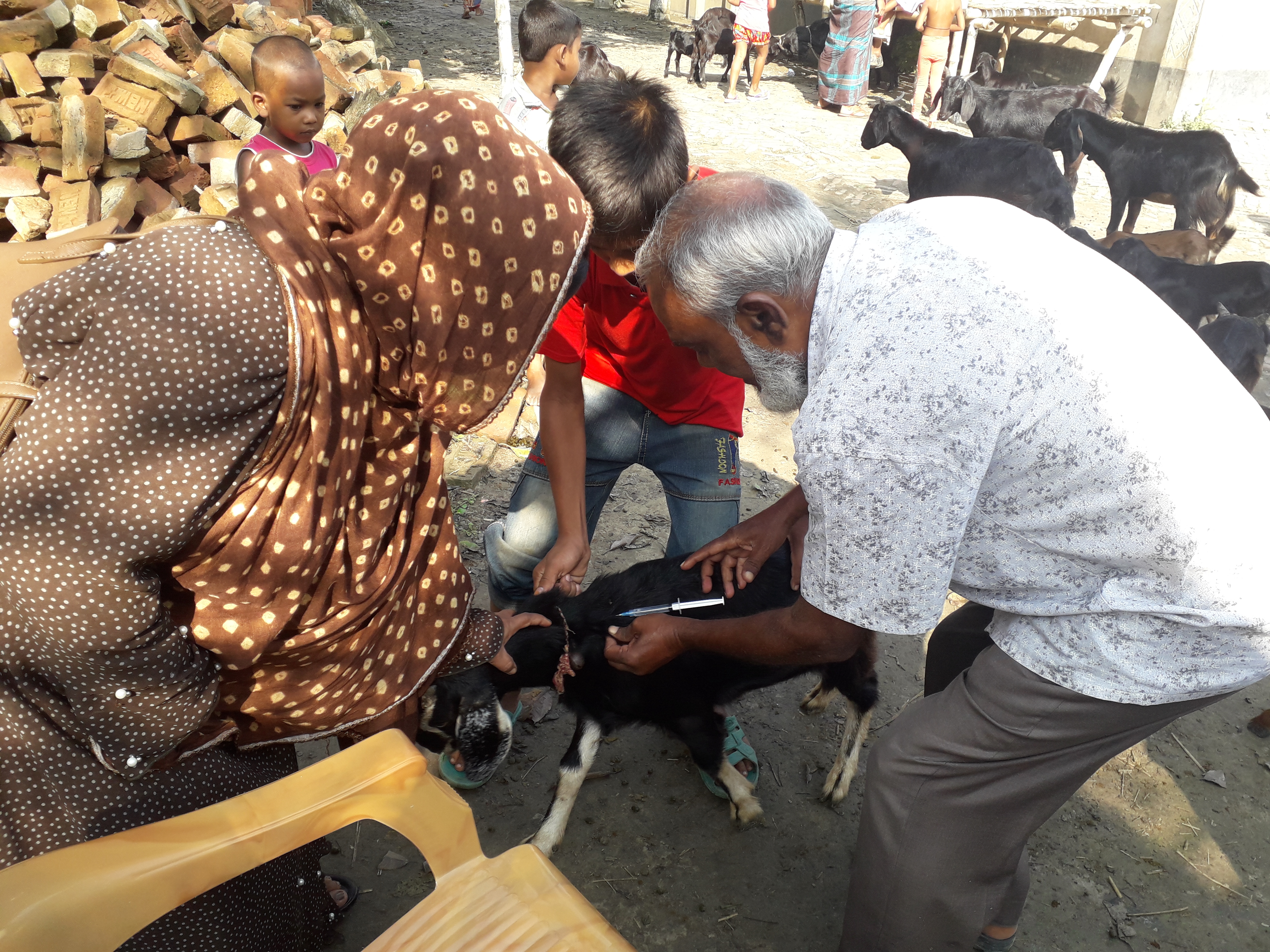 vaccination campaign