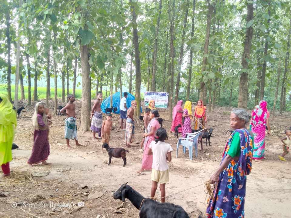 ছাগল ও ভেড়ার পি পি আর ভ্যাকসিনেশন