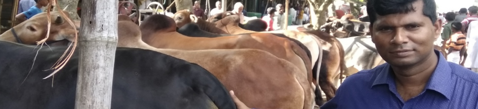 পশুহাট পরিদর্শন