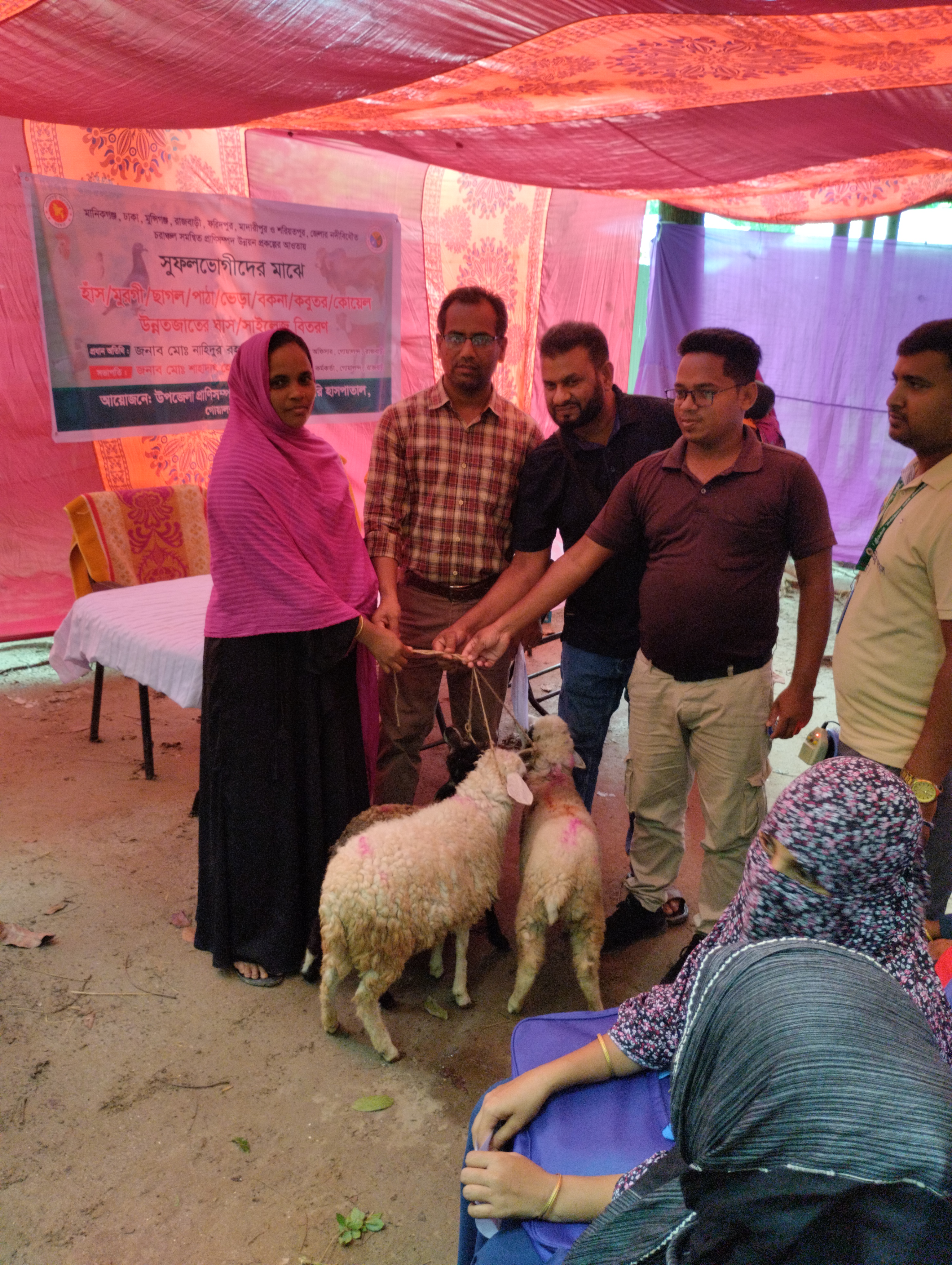 ভেড়া বিতরন