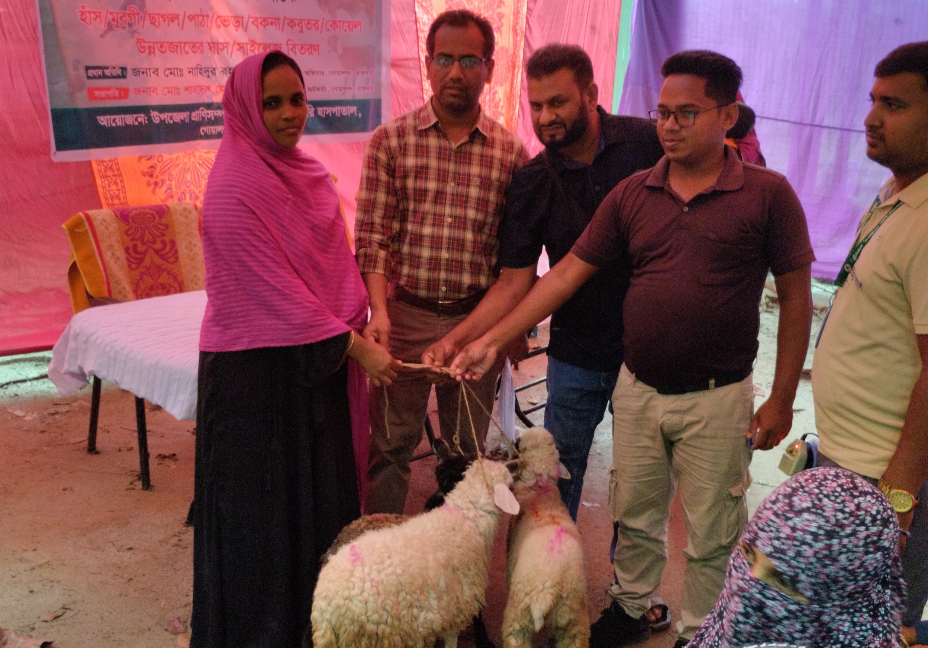 ভেড়া বিতরণ