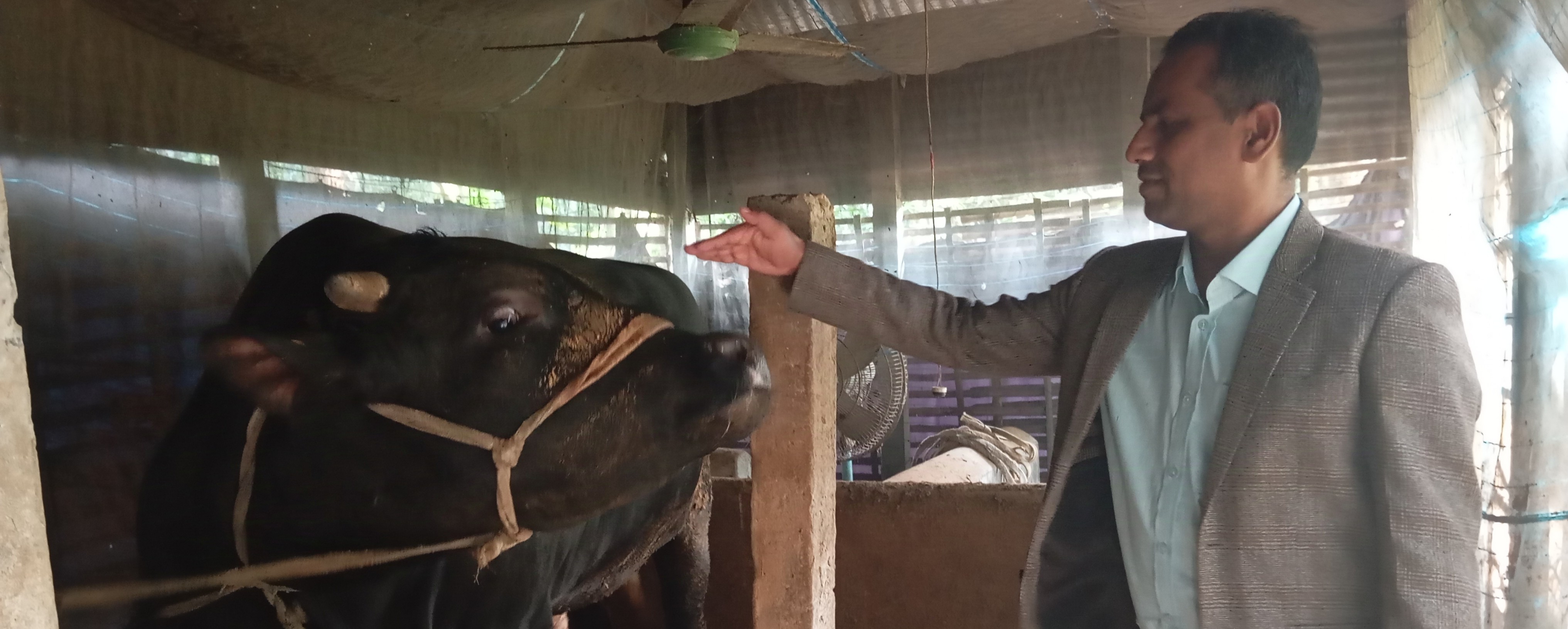 খামার পরিদর্শন