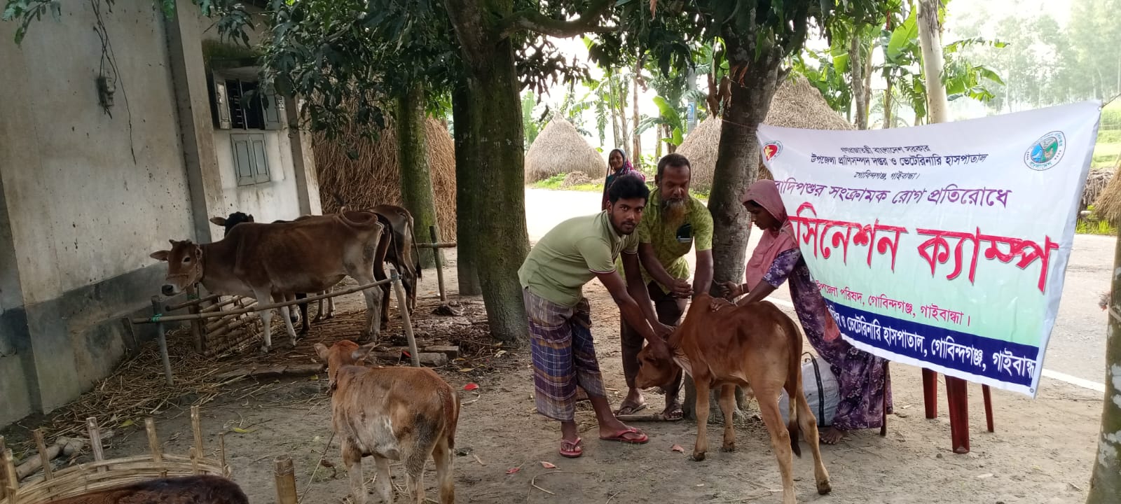 ফ্রি ভেটেরিনারি মেডিকেল ভ্যক্সিনেশন