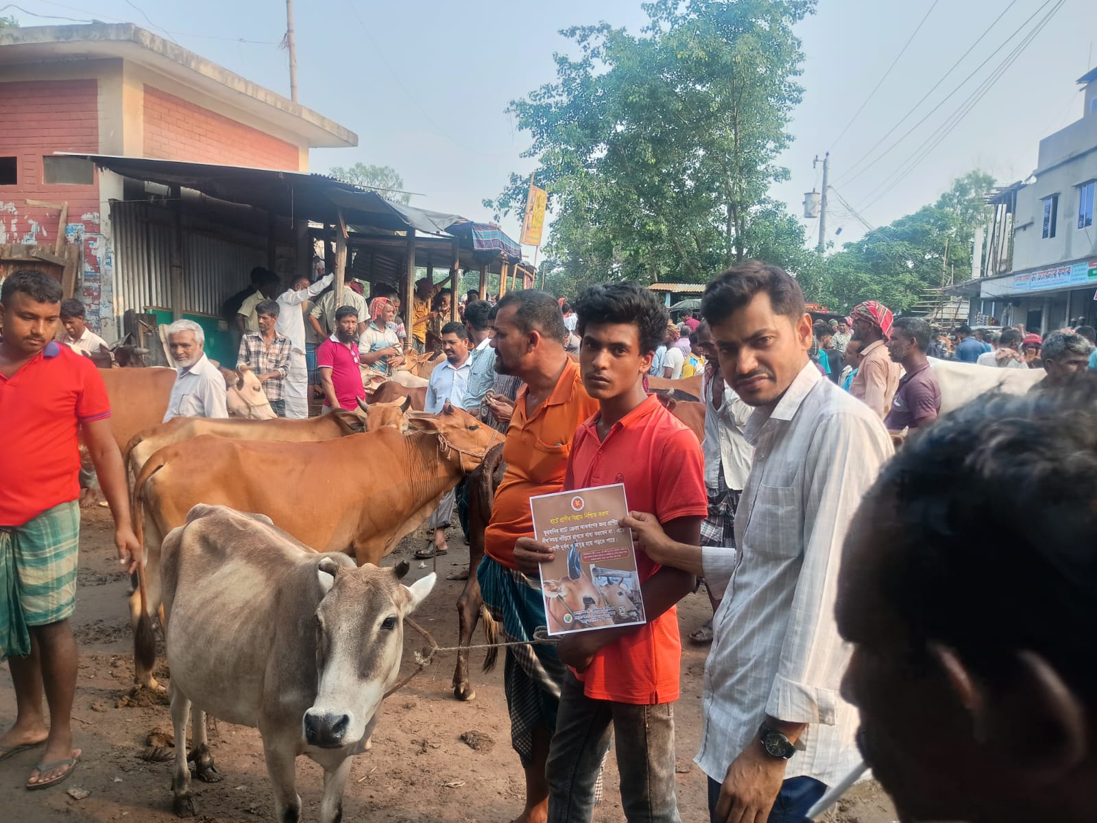 কুরবানী পশু হাটে বিশ্রাম নিাশ্চত করুন