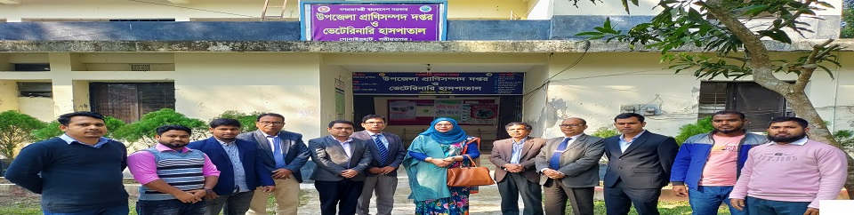 ডিডি স্যার ভ্রমন