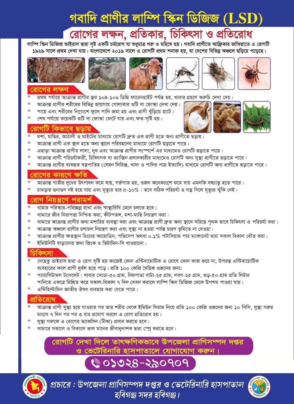 গবাদি প্রাণীর লাম্পি স্কিন ডিজিজ