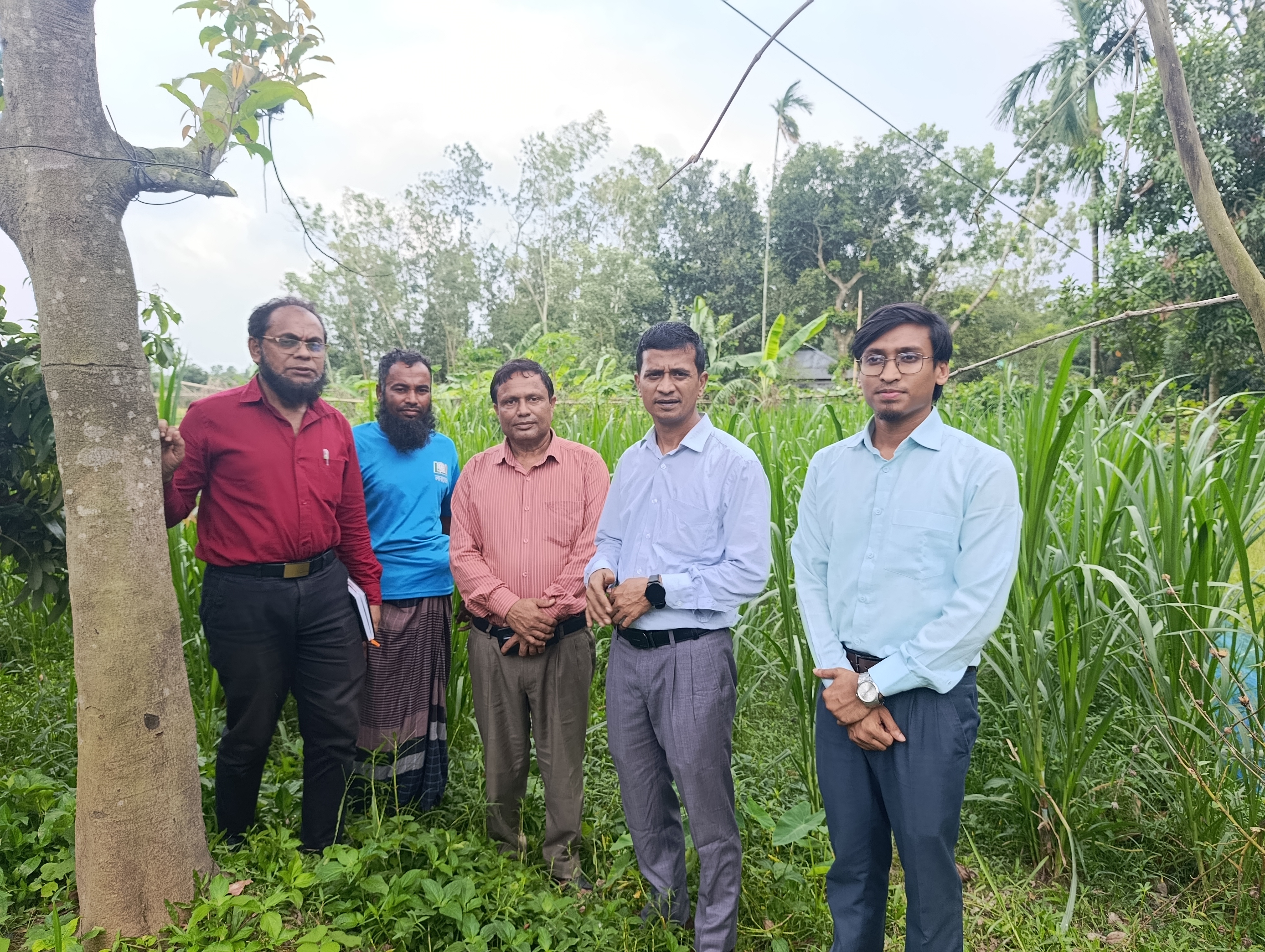 ঘাসচাষ সম্প্রসারণ পরিদর্শন