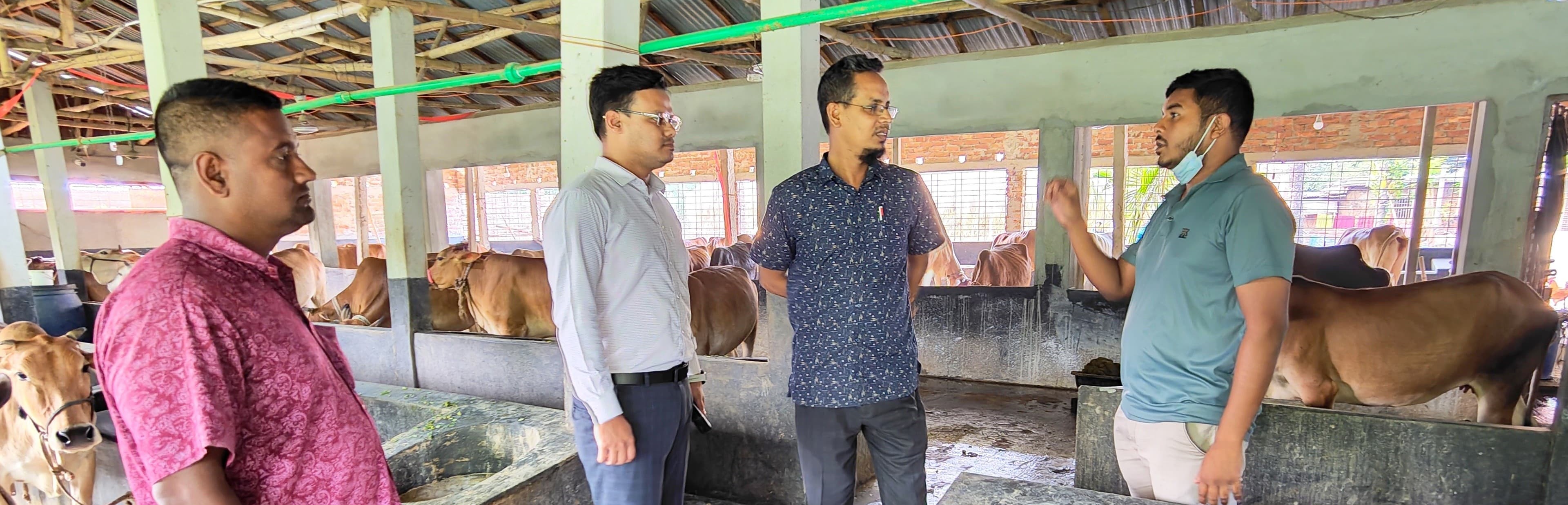 খামার পরিদর্শন
