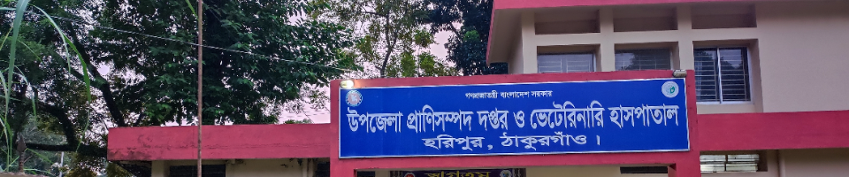 অফিস ছবি-২