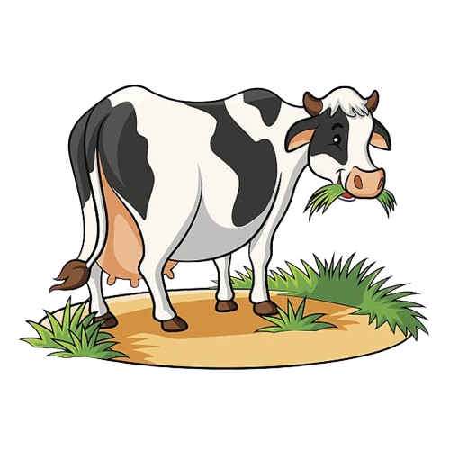 লাইসেন্সের জন্য আবেদন