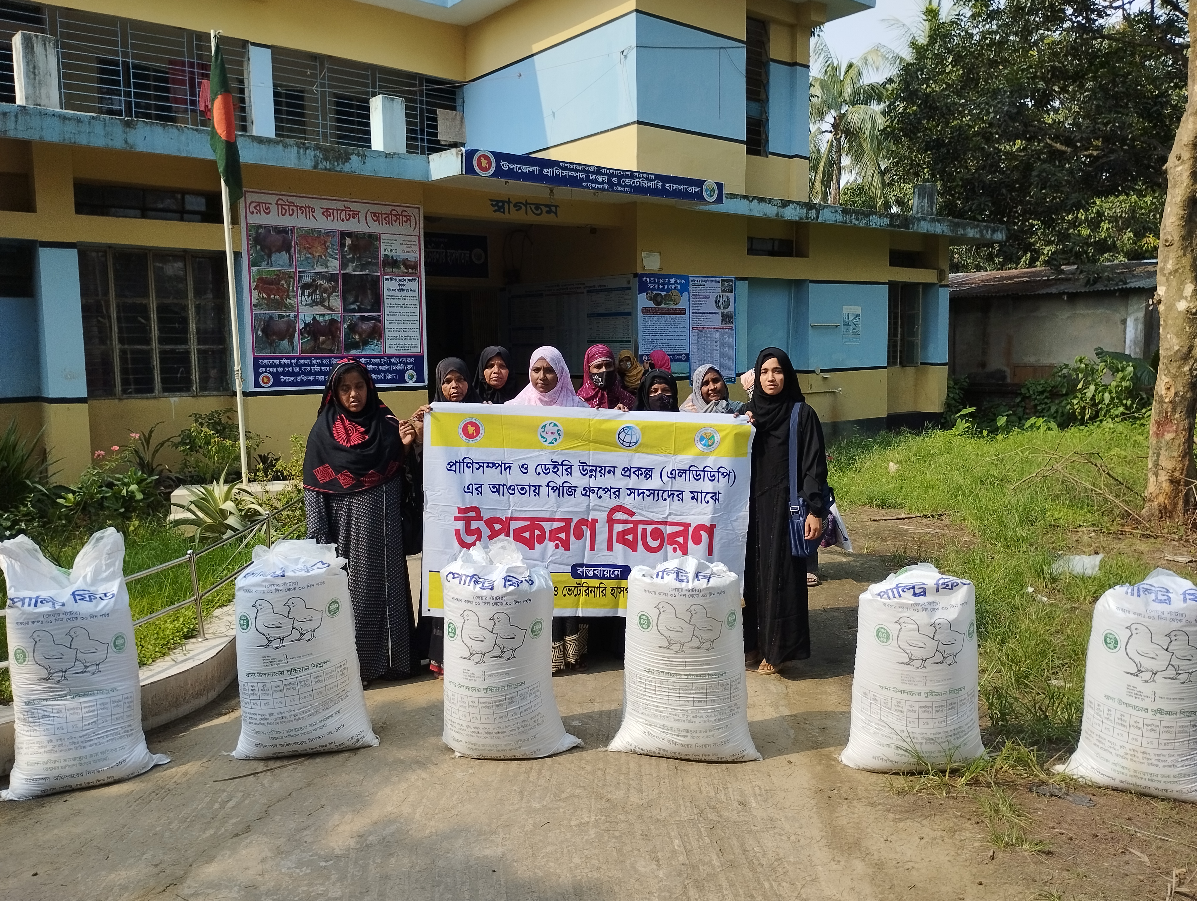 ডি এল এস