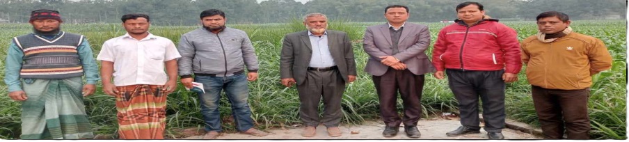 পরিদর্শন