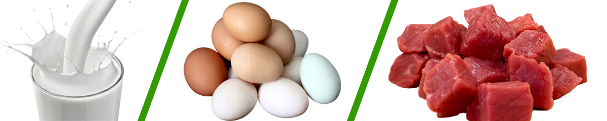 উপজেলা প্রাণি সম্পদ অফিস।