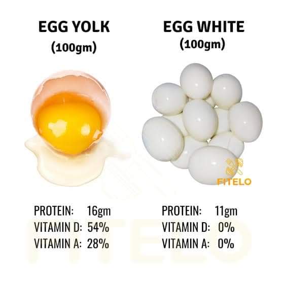 ডিমের উপাদান