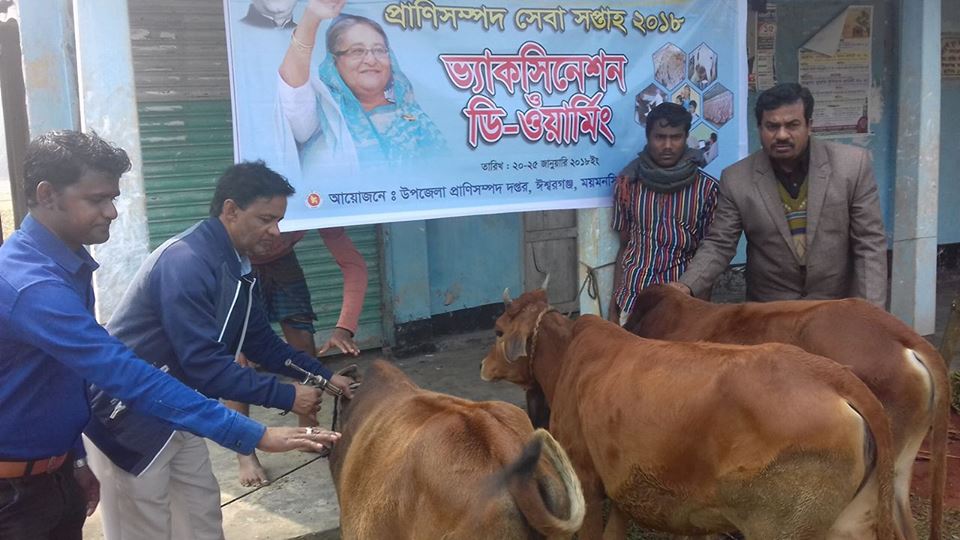 টিকা প্রদান