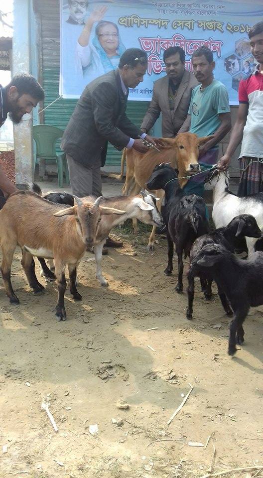 টিকা প্রদান