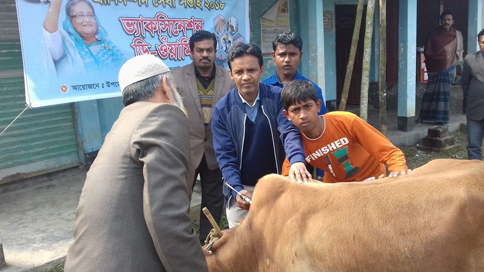 টিকা প্রদান