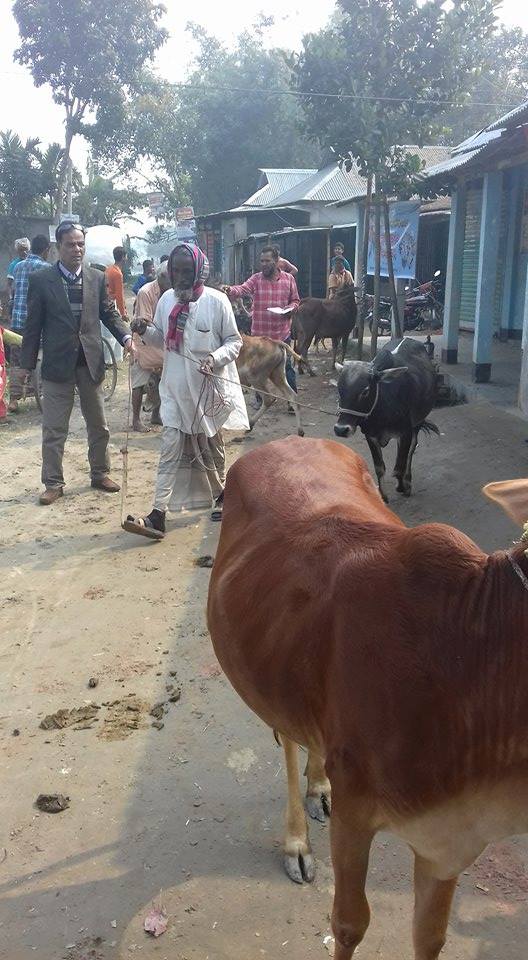 টিকা প্রদান