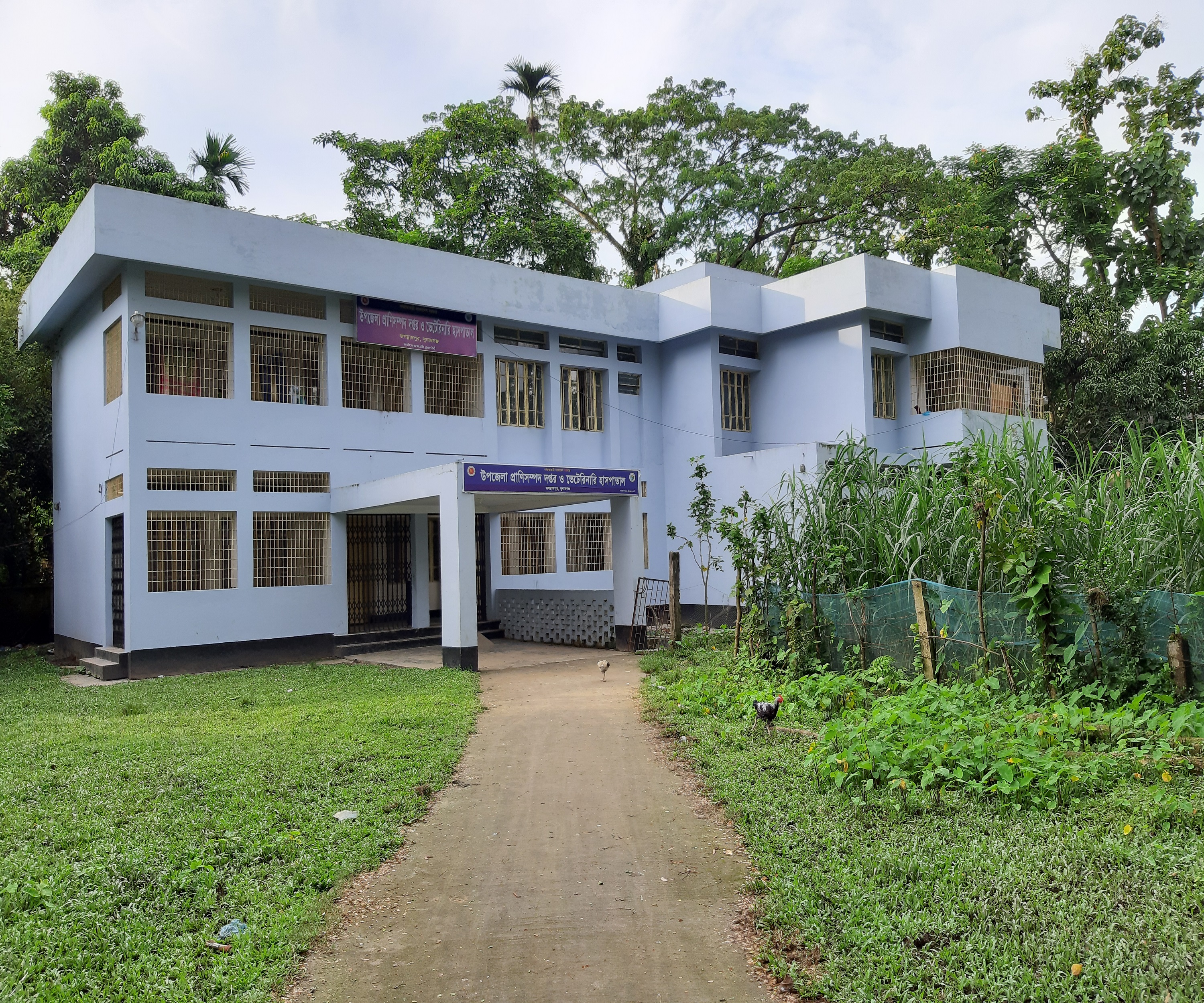 ব্যানার