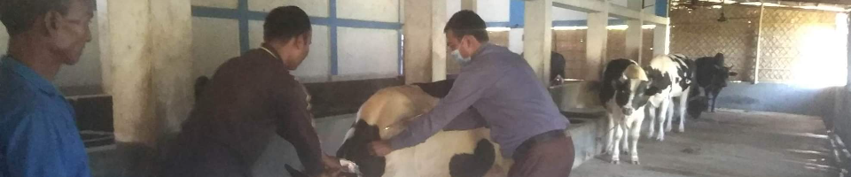 খামার পরিদর্শন