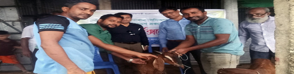 প্রাণিসম্পদ